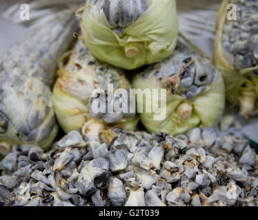 Huitlacoche, Mais Smut, auf einem Markt in Mexiko-Stadt Stockfoto