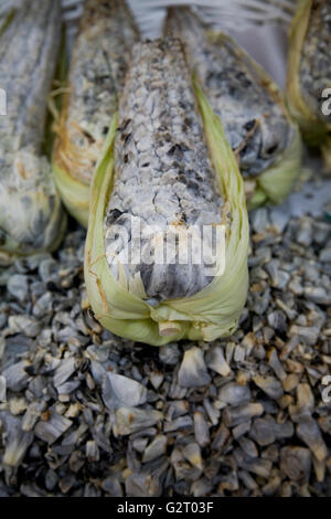 Huitlacoche, Mais Smut, auf einem Markt in Mexiko-Stadt Stockfoto