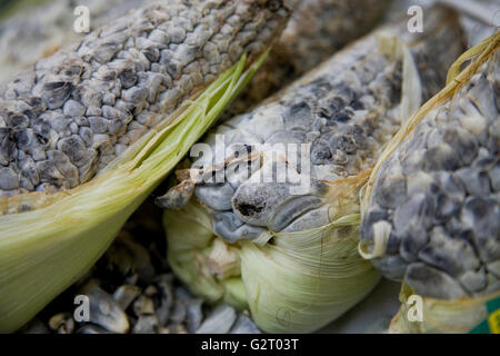 Huitlacoche, Mais Smut, auf einem Markt in Mexiko-Stadt Stockfoto
