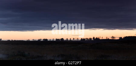 Sonnenaufgang im Herbst auf Cannock Chase Bereich der hervorragenden natürlichen Schönheit Staffordshire Stockfoto