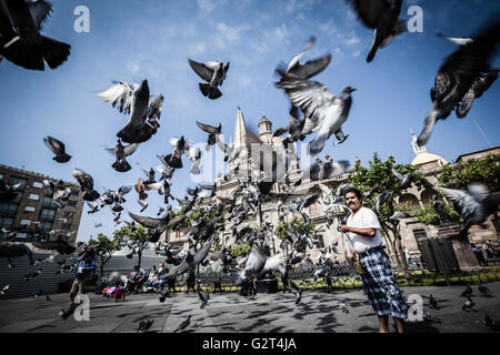 Tauben fliegen in der Nähe von Downtown, der historischen Guadalajara, Jalisco, Mexiko Stockfoto