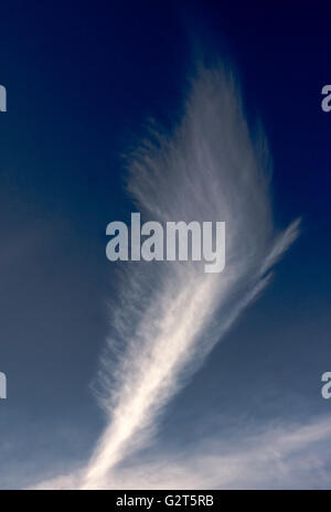 Stutenmilch-Tail-Wolke Stockfoto