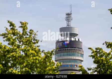 Der BT Tower, der früher als Postamt Tower bekannt war, wurde 1964 fertiggestellt und von den Bäumen des Regents Park in London aus gesehen Stockfoto