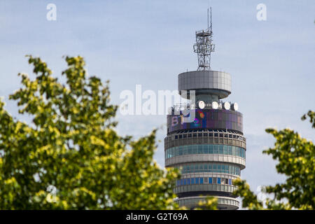 Der BT Tower, der früher als Postamt Tower bekannt war, wurde 1964 fertiggestellt und von den Bäumen des Regents Park in London aus gesehen Stockfoto