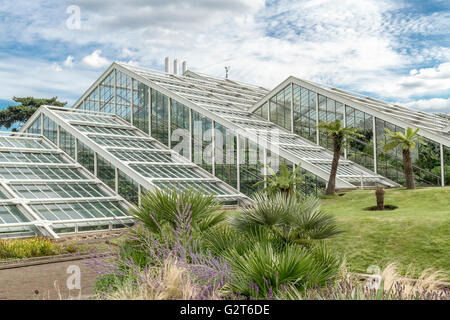 Das Princess of Wales Conservatory in den Royal Botanic Gardens, Kew, wurde 1987 von Princess Diana, Kew, Gardens, London, Großbritannien eröffnet Stockfoto
