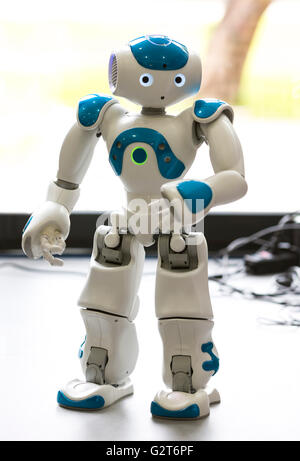 Ein kleiner Roboter mit menschlichen Gesicht und Körper - humanoiden. Künstliche Intelligenz - KI. Blauer Roboter. Stockfoto