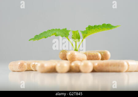 Bio-Kräuter-Kapseln und Kräutermedizin Öl Pillen Stockfoto