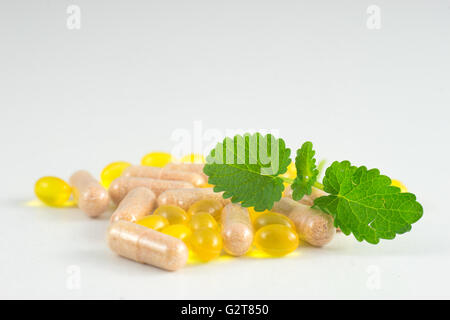 Bio-Kräuter-Kapseln und Kräutermedizin Öl Pillen Stockfoto