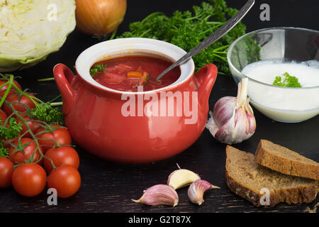 Topf mit traditionelle russische und slawische Kohlsuppe Stockfoto