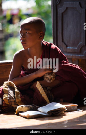 Ein Novize Studium mit einer Katze, Shwe Yaunghwe Kyaung Kloster, Nyaungshwe, Shan-Staat, Inle-See, Myanmar Stockfoto