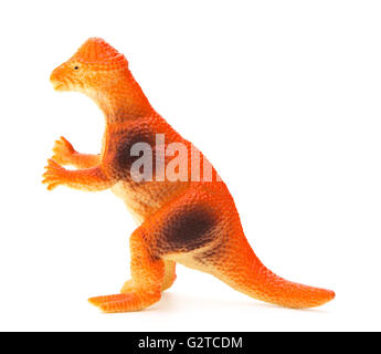 Seitenansicht orange Pachycephalosaurus auf weißem Hintergrund Stockfoto