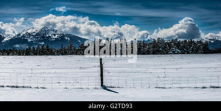 Schnee bedeckt Spitzen-Pinien und Bauernhof Zaun Wyoming Winterlandschaft Stockfoto