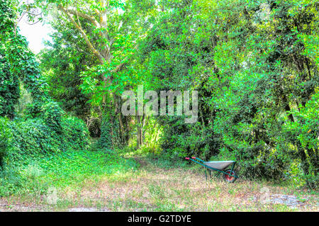 HDR der Schubkarre in einem Garten und einer Harke Stockfoto