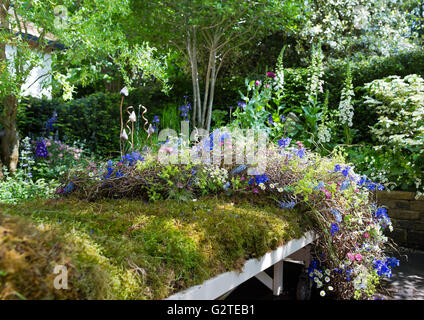 RHS Chelsea Flower Show 2016, The Garden Bed - eine Partnerschaft mit Asda, Gold-Medaillengewinner, Designer Stephen Welch und Alsion Stockfoto