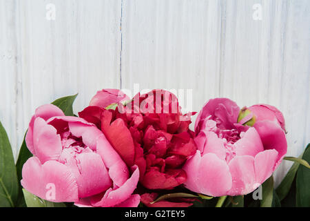 Rosa Pfingstrosen auf weißer Holztisch mit Textfreiraum Stockfoto