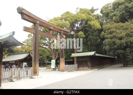 Eine traditionelle japanische Tor Torii auf den Meiji-Jingu in Tokio, Japan Stockfoto