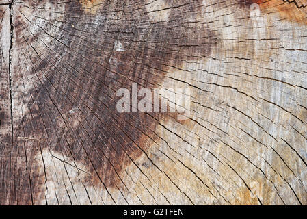 Abstrakte Hintergrundtextur frisch Kettensäge Schnittholz Stockfoto