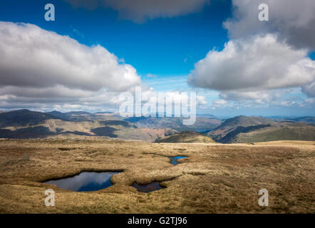 Sommer-Ansichten von Hartsop Dodd, The Lake District, Cumbria, UK Stockfoto