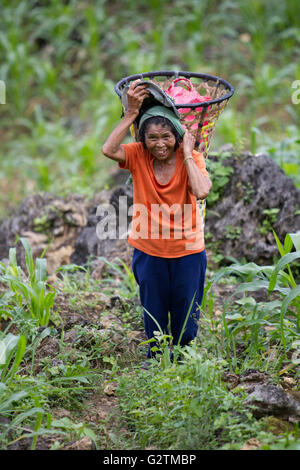 Eine philippinische Frau trägt einen Korb lokal bekannt als ein Bakag in einem Berglandwirtschaft Bereich der südlichen Cebu, Philippinen Stockfoto