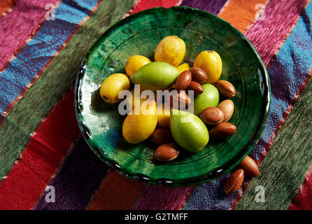 Frischobst Arganöl und Argan Nüssen (Argania Spinosa), Marokko Stockfoto