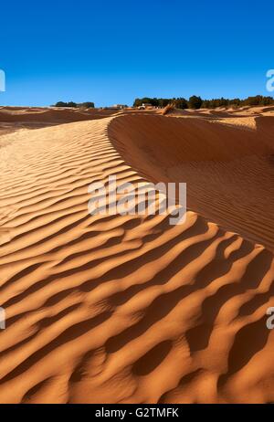 Sanddünen des Grand erg Oriental in der Nähe der Oase Ksar Ghilane, Sahara, Tunesien Stockfoto