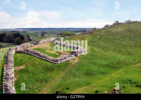 Der Hadrianswall, Nick Castle, Stahl Rigg, Northumberland, England, UK Stockfoto