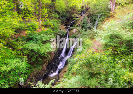 Ambleside, Stock Ghyll Kraft, Lake District, Cumbria, England, UK Stockfoto