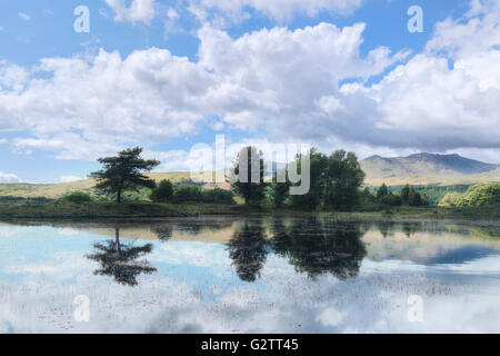 Kelly Hall Tarn, Torver, Lake District, Cumbria, England, UK Stockfoto