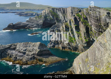 Irland, County Kerry, Iveragh-Halbinsel, die Kerry-Klippen auf den Skellig Ring in der Nähe von Portmagee. Stockfoto