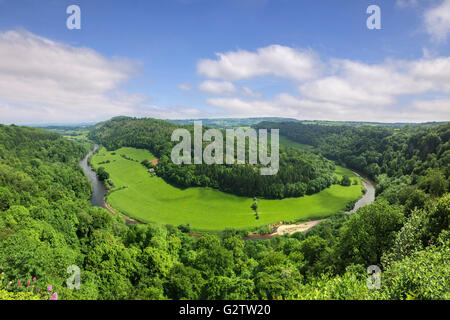 Das Wye Valley von Symonds Yat Rock, Gloucestershire, England, UK, im Frühsommer. Stockfoto