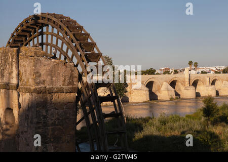 Spanien, Andalusien, Cordoba, Noria auf dem Rio Guadalquivir mit der römischen Brücke im Hintergrund. Stockfoto