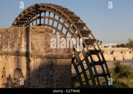 Spanien, Andalusien, Cordoba, Noria auf dem Rio Guadalquivir mit der römischen Brücke im Hintergrund. Stockfoto