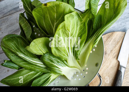 Frische Blätter von Bok Choy kochbereit Stockfoto