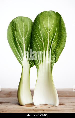 Frische Blätter von Bok Choy kochbereit Stockfoto