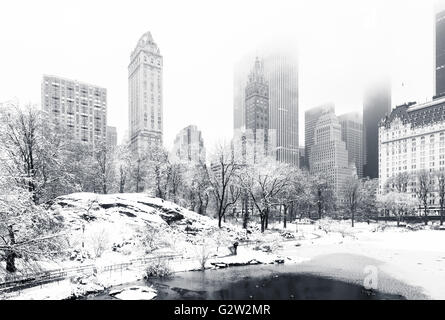 Der Teich im Central Park an einem nebligen Wintermorgen Stockfoto