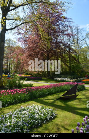 Keukenhof Gärten - Frühjahr 2016 Stockfoto