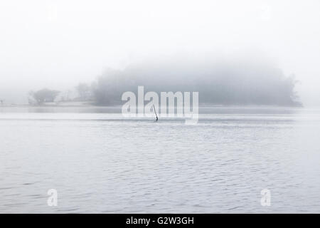 Blick auf nebligen Landschaft am Amazonas in Brasilien. Die neblige Szene weckt Gefühle von Ruhe, Frieden und Ruhe Stockfoto