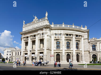 Burgtheater und Fiaker (Kutsche), Austria, Wien, Wien Stockfoto