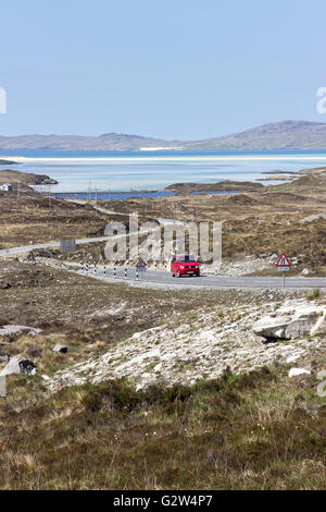 Rot-Wohnmobil fahren Richtung Norden nach Tarbert mit Luskentyre Strand im Hintergrund Insel Harris westlichen Inseln Schottlands. Stockfoto