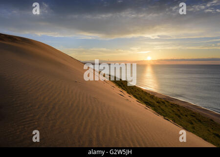 Sanddünen in Tottori, Japan entlang dem Meer von Japan. Stockfoto