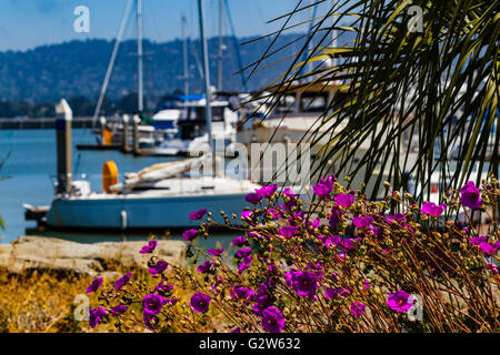 Emeryville California Marina Stockfoto