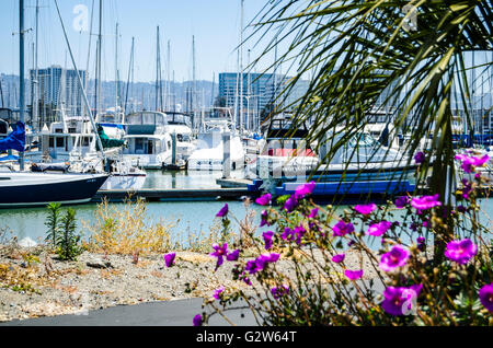 Die Emeryville California Marina Bootshafen Stockfoto