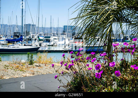 Die Emeryville California Marina Bootshafen Stockfoto