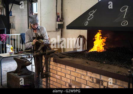 Shepton Mallet, UK. 3. Juni 2016. Ironmongering im Bad und West Show 2016. James Thomas/Alamy Live-Nachrichten Stockfoto