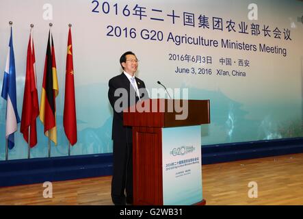 Xi ' an, der chinesischen Provinz Shaanxi. 3. Juni 2016. Chinesischen Minister für Landwirtschaft Han Changfu befasst sich die G20-Landwirtschaft Minister treffen in Xi ' an, Nordwesten der chinesischen Provinz Shaanxi, 3. Juni 2016. © Mu Jialiang/Xinhua/Alamy Live-Nachrichten Stockfoto