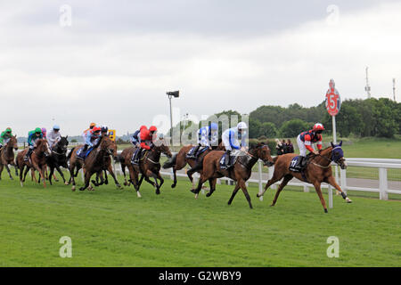 Epsom Downs, Surrey, England, UK. 3. Juni 2016. Ladies Day bei Epsom Downs Racecourse. Die Investec Meile Rennen Fahrer passieren 5 Furlong Post, mit späteren Sieger Prüfer in rosa und blauen Hut, geritten von Oisin Murphy von S C Williams, 2. vom Rücken trainiert. Bildnachweis: Julia Gavin UK/Alamy Live-Nachrichten Stockfoto