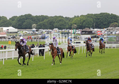 Epsom Downs, Surrey, England, UK. 3. Juni 2016. Ladies Day bei Epsom Downs Race Course, wo die Investec Eichen befindet sich das Hauptrennen des Tages. Hier fährt Ryan Moore in lila und weiß (lila Hut) Nr. 5 hüten um Tattenham Ecke in Richtung der Start des Rennens. Hüten, das Rennen zu gewinnen, nach dem Sieg gegen Frankie Dettori auf Architektur im Haus direkt. Bildnachweis: Julia Gavin UK/Alamy Live-Nachrichten Stockfoto