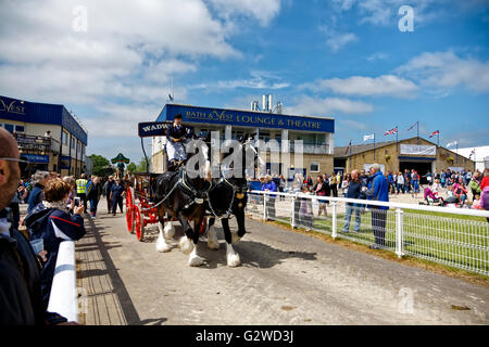 Royal Bath & West Showground, Shepton Mallet, Somerset, UK. 3. Juni 2016. Einem heißen sonnigen Tag an der 2016 Royal Bath & West zeigen Kredit: Andrew Harker/Alamy Live News Stockfoto