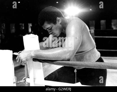 17. Dezember 2004 - MUHAMMAD ALI IN den BAHAMAS 23.11.1981. PRESSENS BILD © / Photos/ZUMAPRESS.com/Alamy © Globus Live News Bildnachweis: ZUMA Press, Inc./Alamy Live News Stockfoto