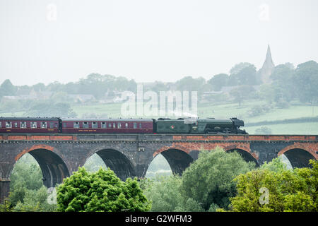 Welland-Viadukt, Northamptonshire, UK. 4. Juni 2016. Im Alter von 93, die Flying Scotsman, die erste Lokomotive, erreichen eine Geschwindigkeit von 100 km/h, und wahrscheinlich der berühmteste Dampf Zug der Welt, jetzt nach einer Sanierung dauert zehn Jahre und kostet £4 verjüngt. Bildnachweis: Vermischtes/Alamy Live News Stockfoto